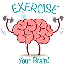 Brain workout